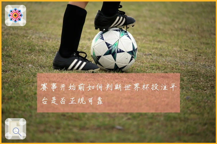 赛事开始前如何判断世界杯投注平台是否正规可靠