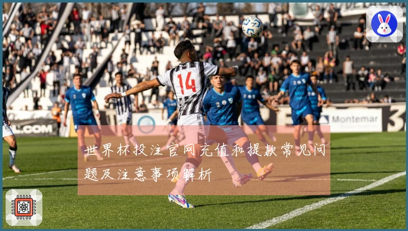世界杯投注官网充值和提款常见问题及注意事项解析